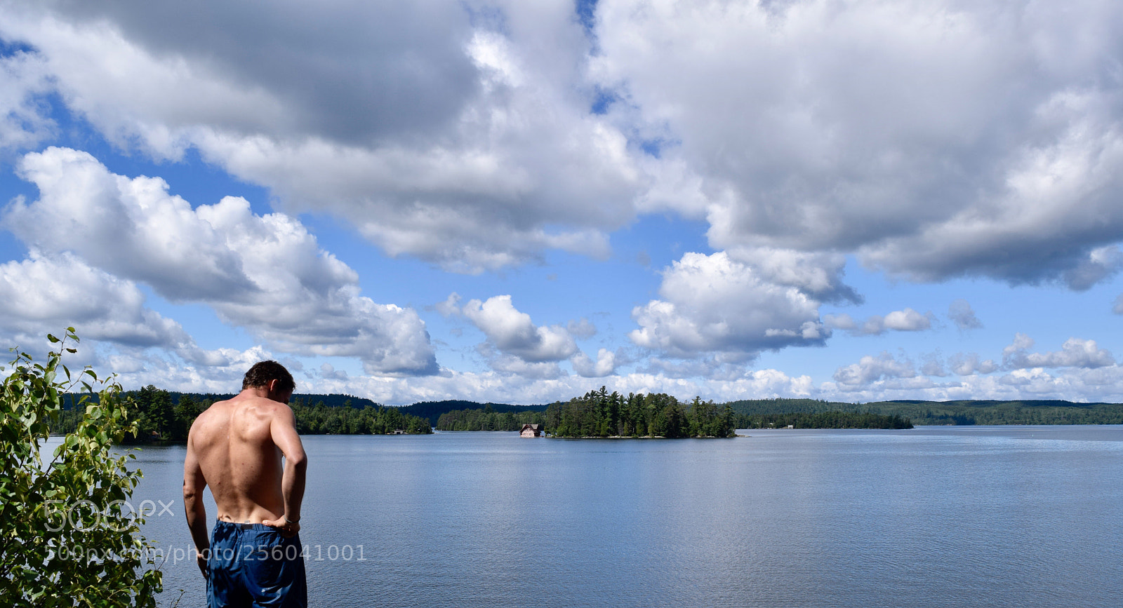 Nikon D3300 sample photo. Contemplation. photography