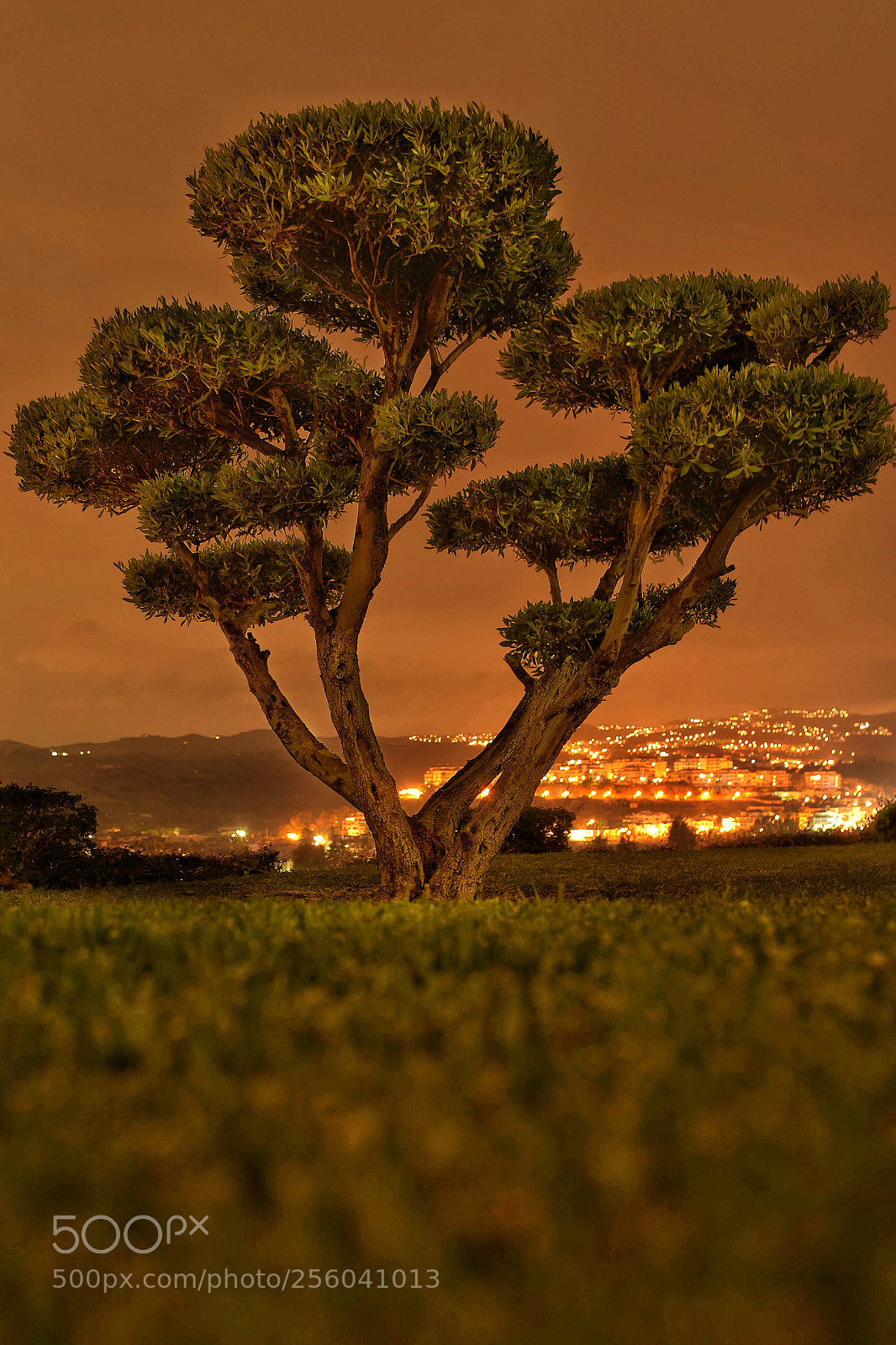 Nikon D750 sample photo. One night in spain photography