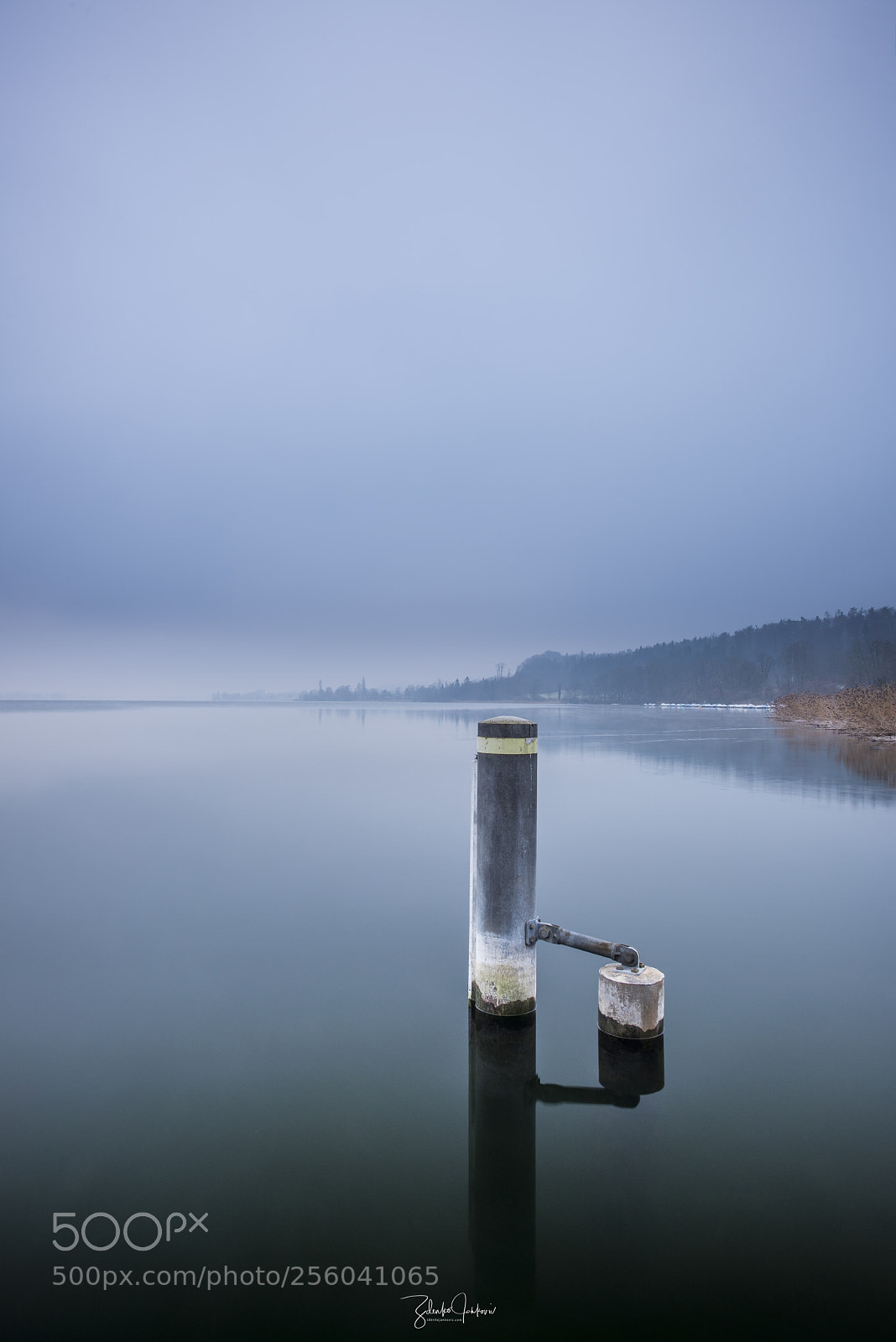 Nikon D810 sample photo. Greifensee photography