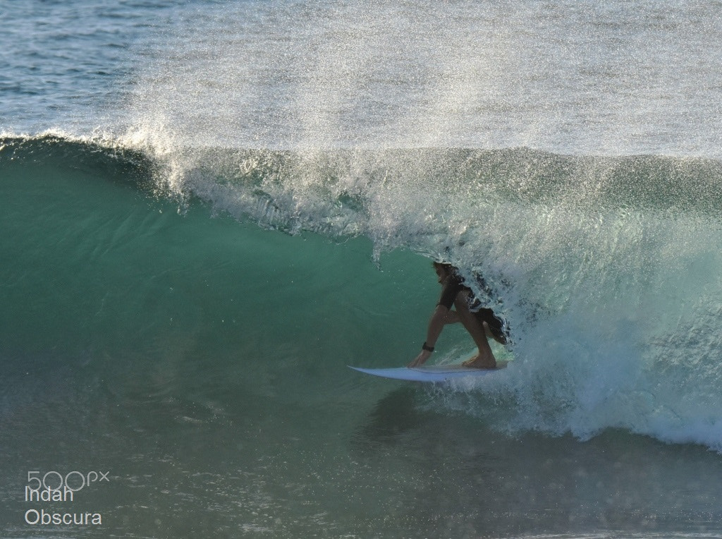 Nikon D5500 sample photo. Ioi tucked in tight photography
