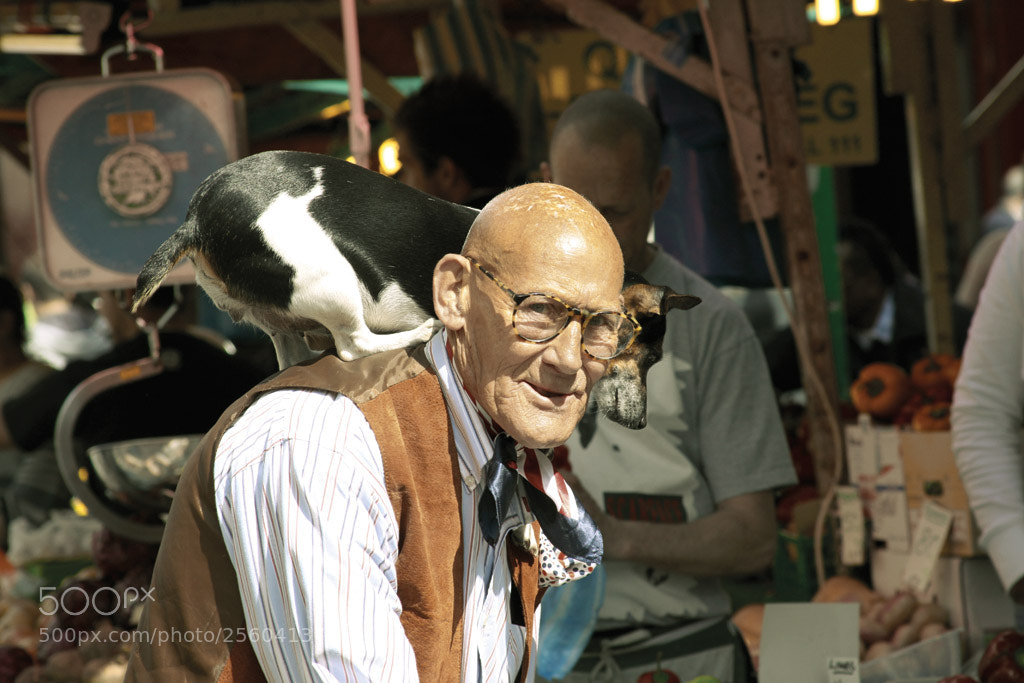 Canon EOS 50D sample photo. Img photography