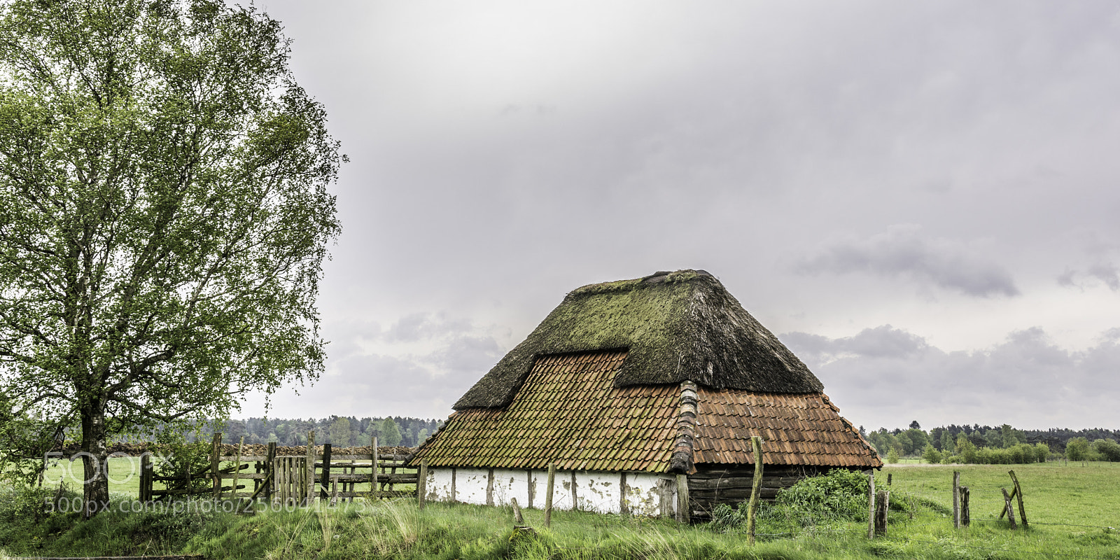 Nikon D7100 sample photo. De kempen photography