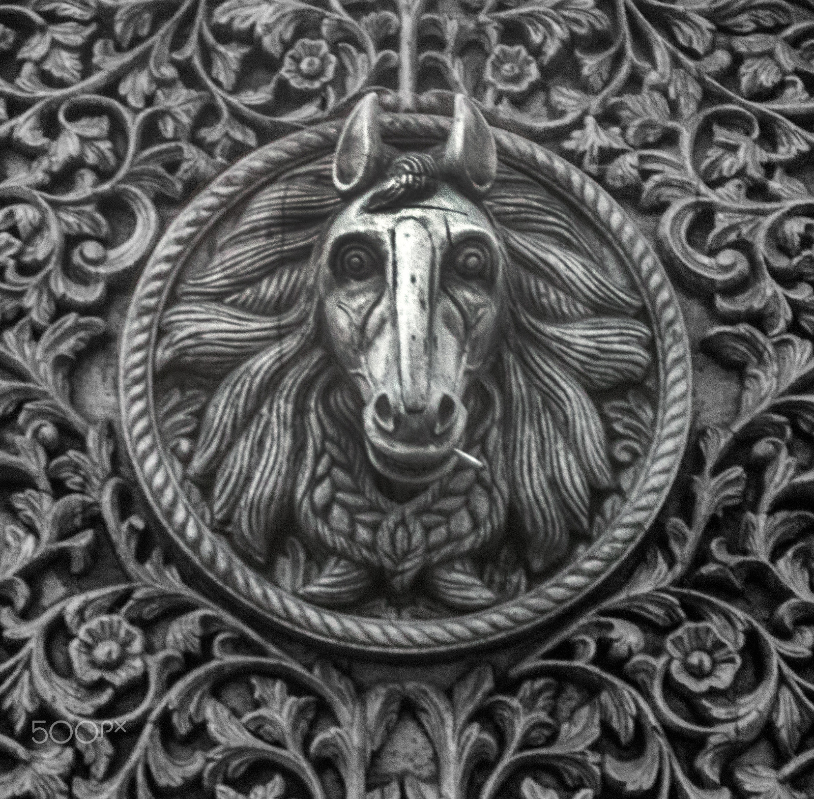 Canon EOS 500D (EOS Rebel T1i / EOS Kiss X3) sample photo. The old smoking horse of camden town photography