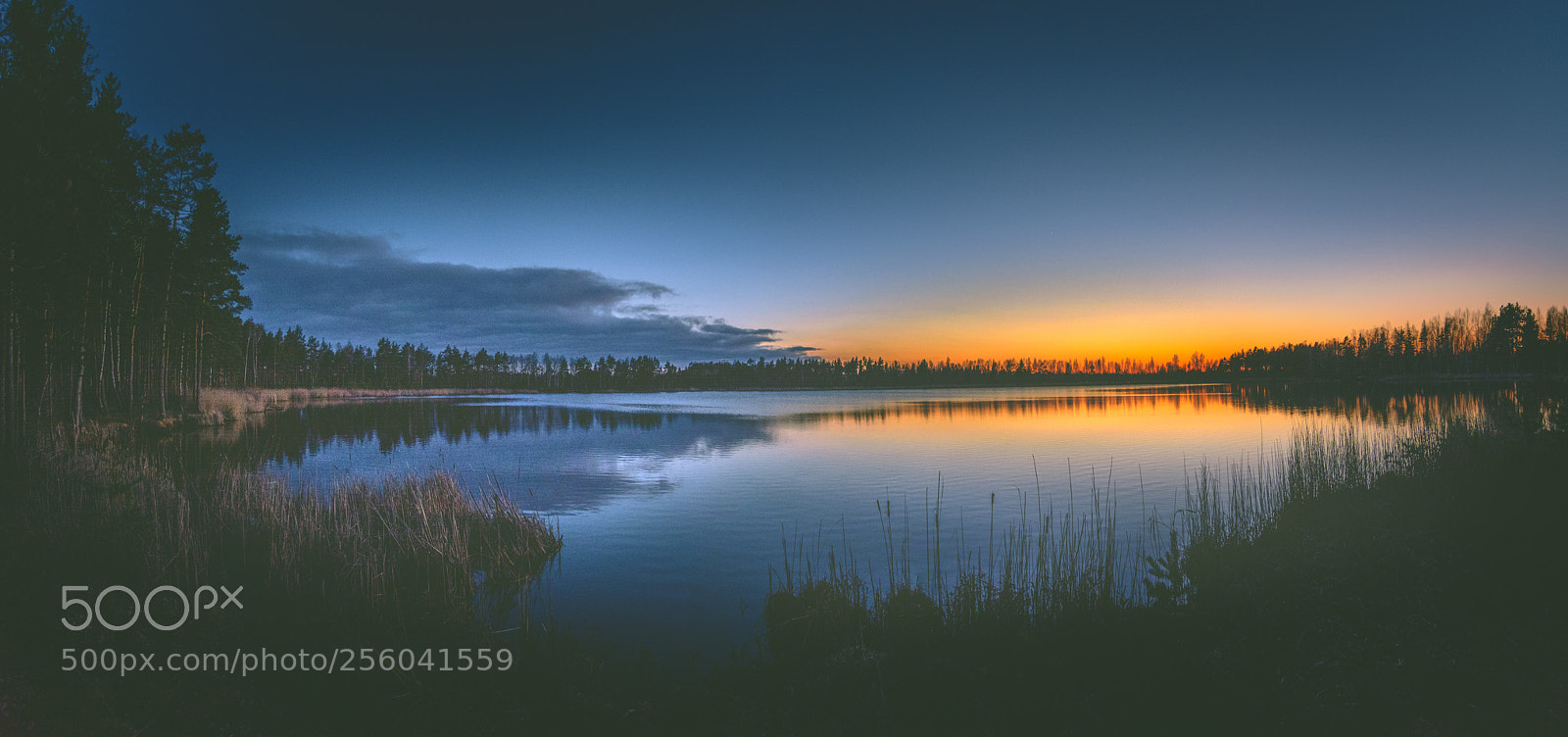 Nikon D5200 sample photo. Colorful sunset over a photography