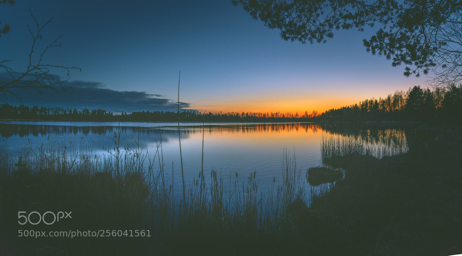 Nikon D5200 sample photo. Colorful sunset over a photography