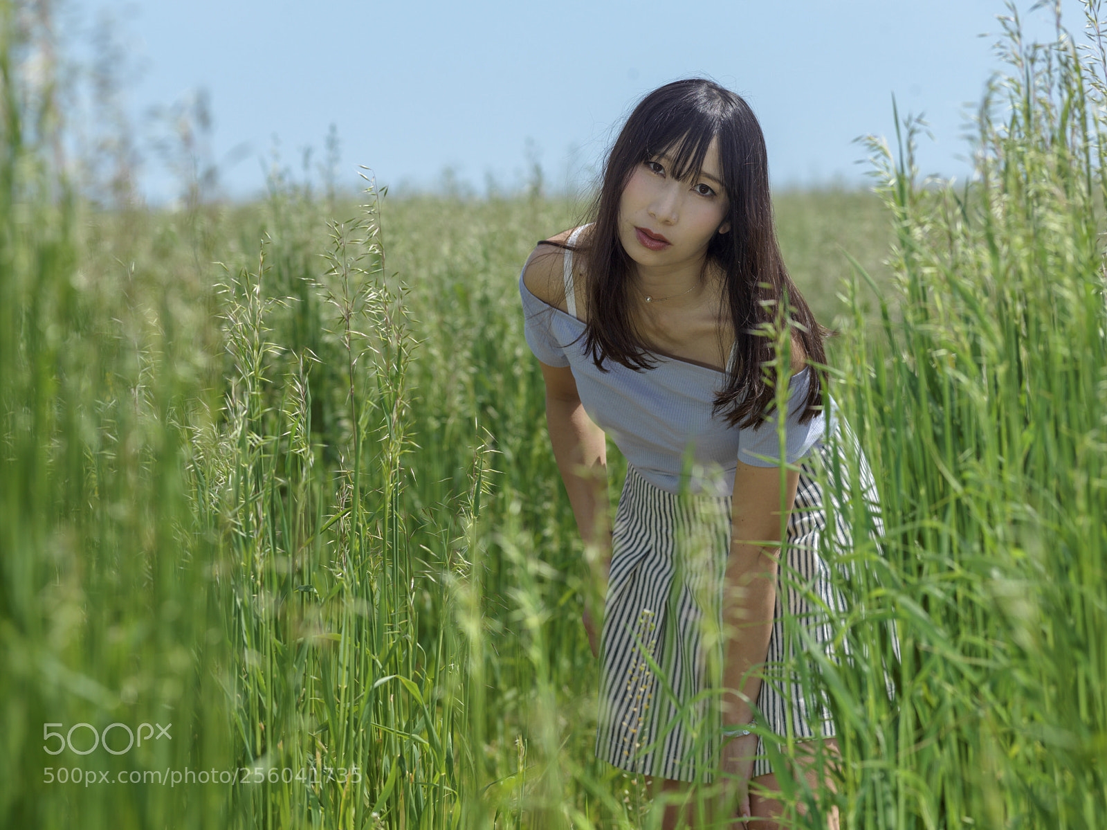 Hasselblad X1D-50c sample photo. In the grassland photography
