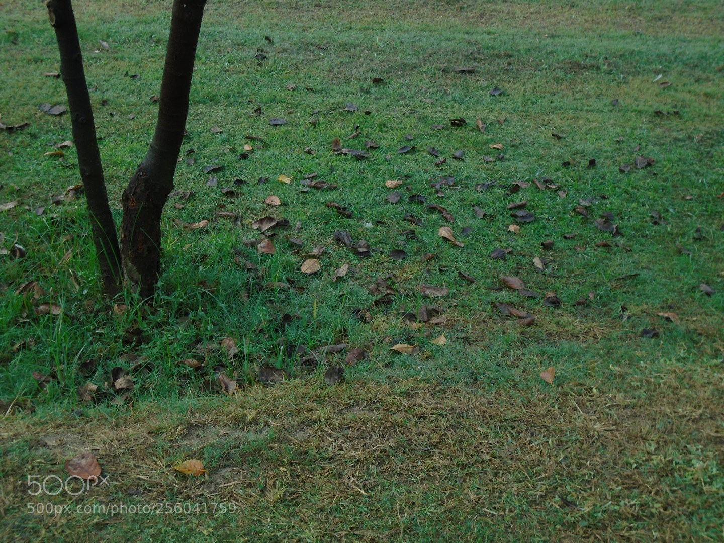 Sony Cyber-shot DSC-W800 sample photo. November 2017 004 photography