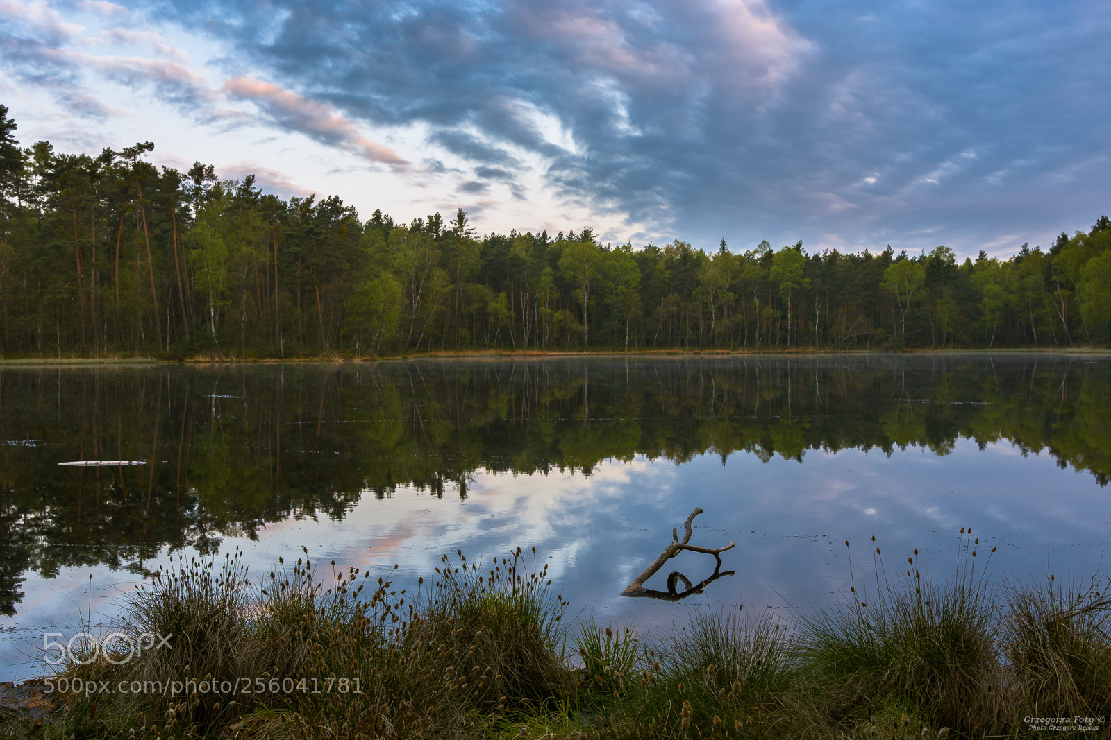 Nikon D7100 sample photo. Reflection photography