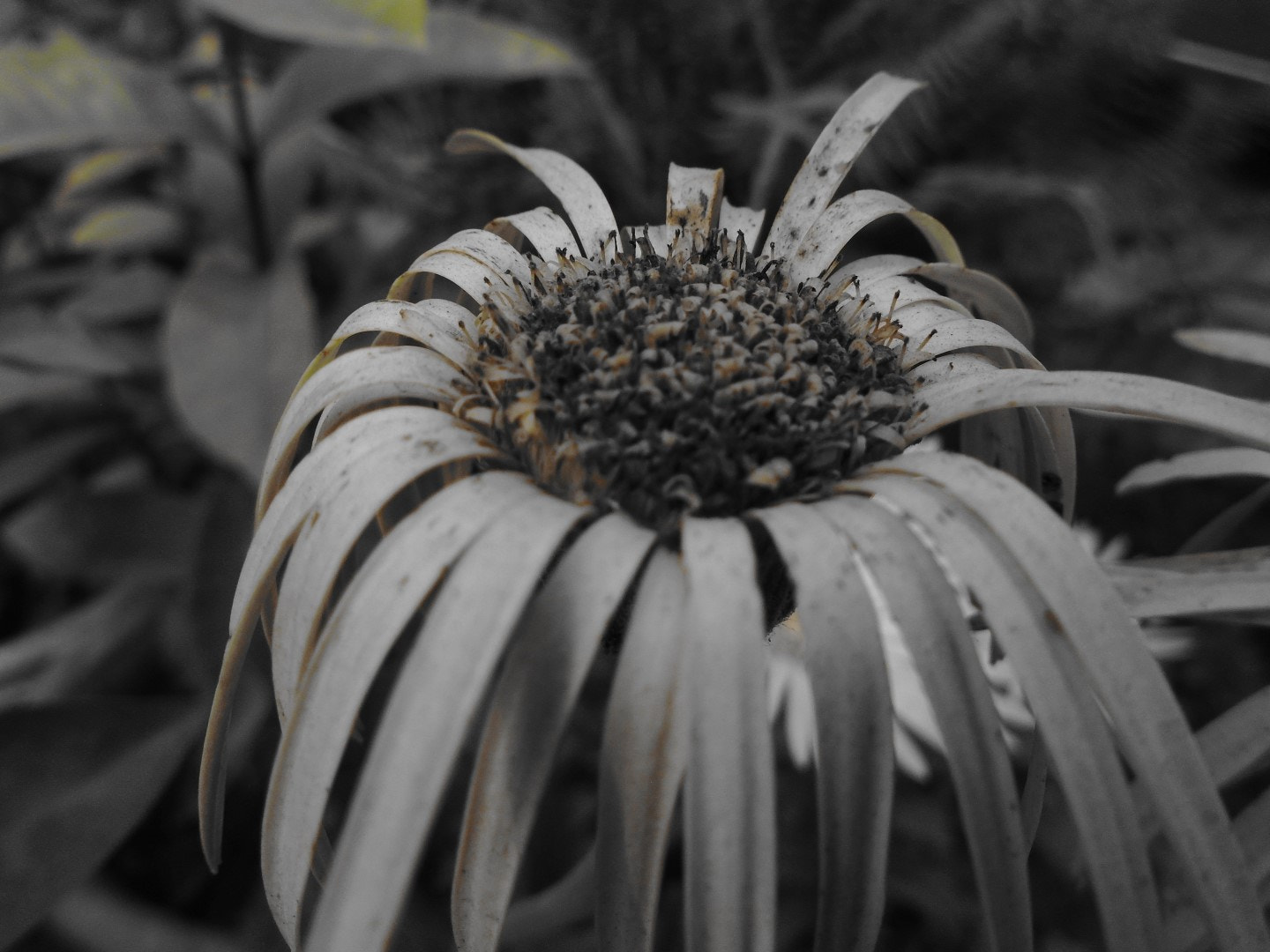 Sony Cyber-shot DSC-W800 sample photo. November 2017 015 photography