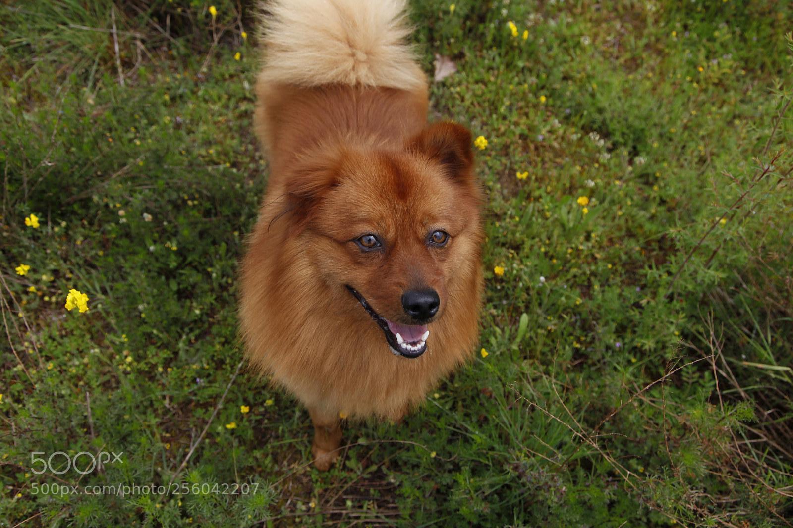Canon EOS 5D Mark II sample photo. Andy photography