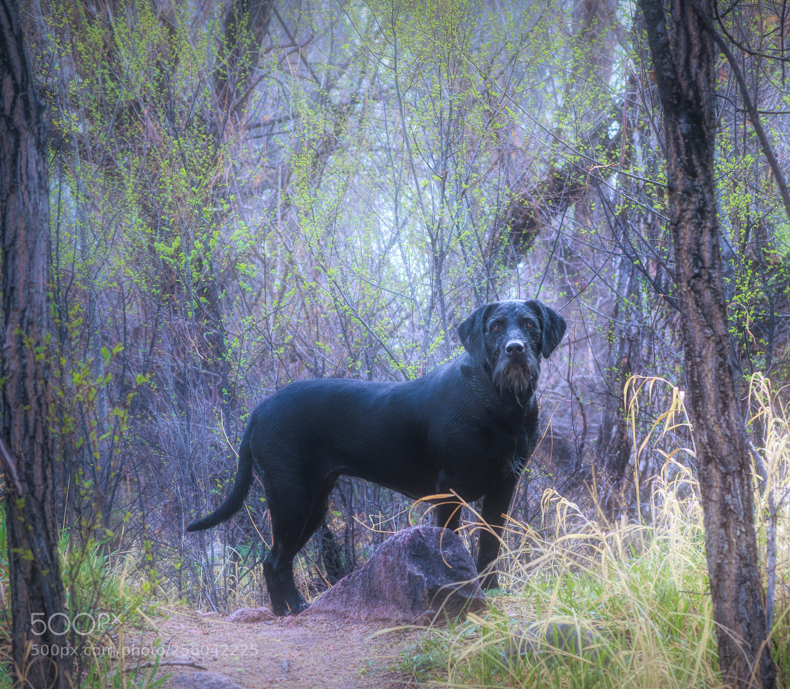 Nikon D7000 sample photo. Say hello to spring! photography