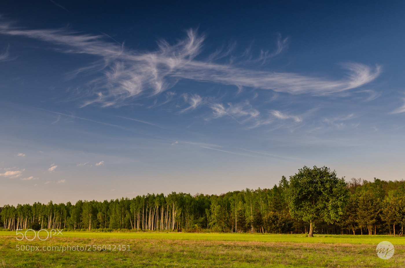 Nikon D7000 sample photo. Countryside photography