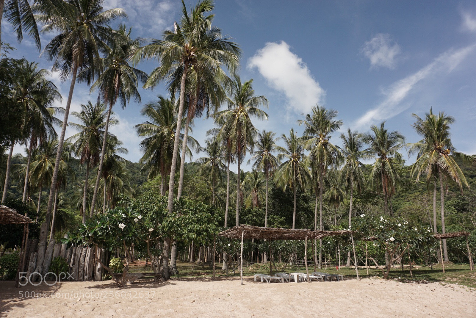 Sony a6000 sample photo. Resort photography