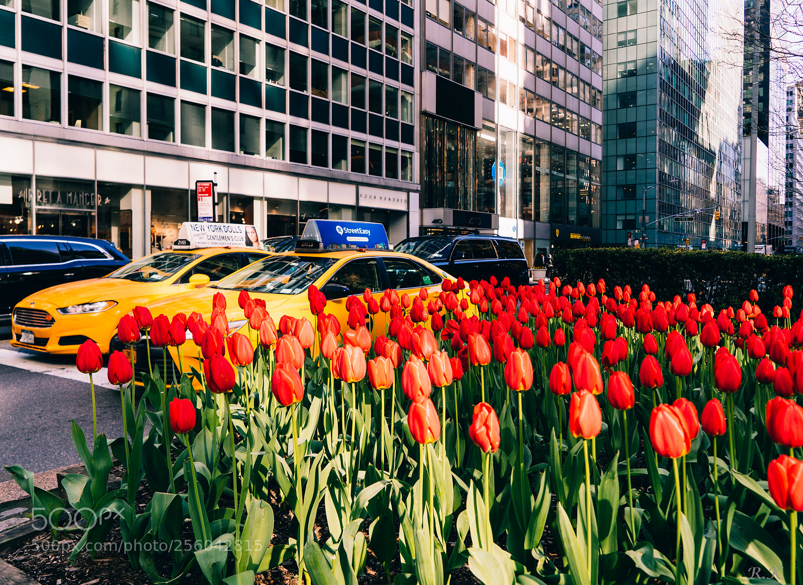 Sony a7R sample photo. Flowers are blooming and photography