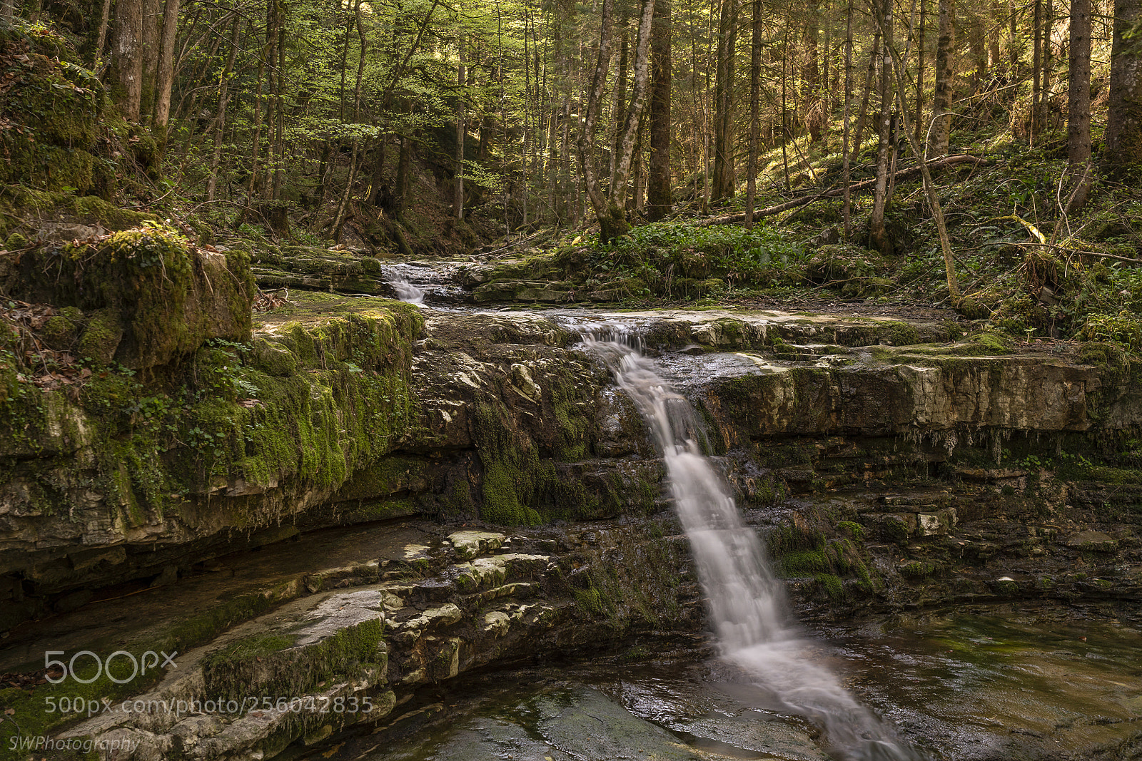 Sony a7R III sample photo. Little woodland waterfall photography