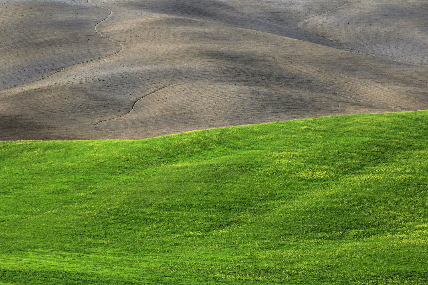 Tamron SP 35mm F1.8 Di VC USD sample photo. Tuscan countryside photography