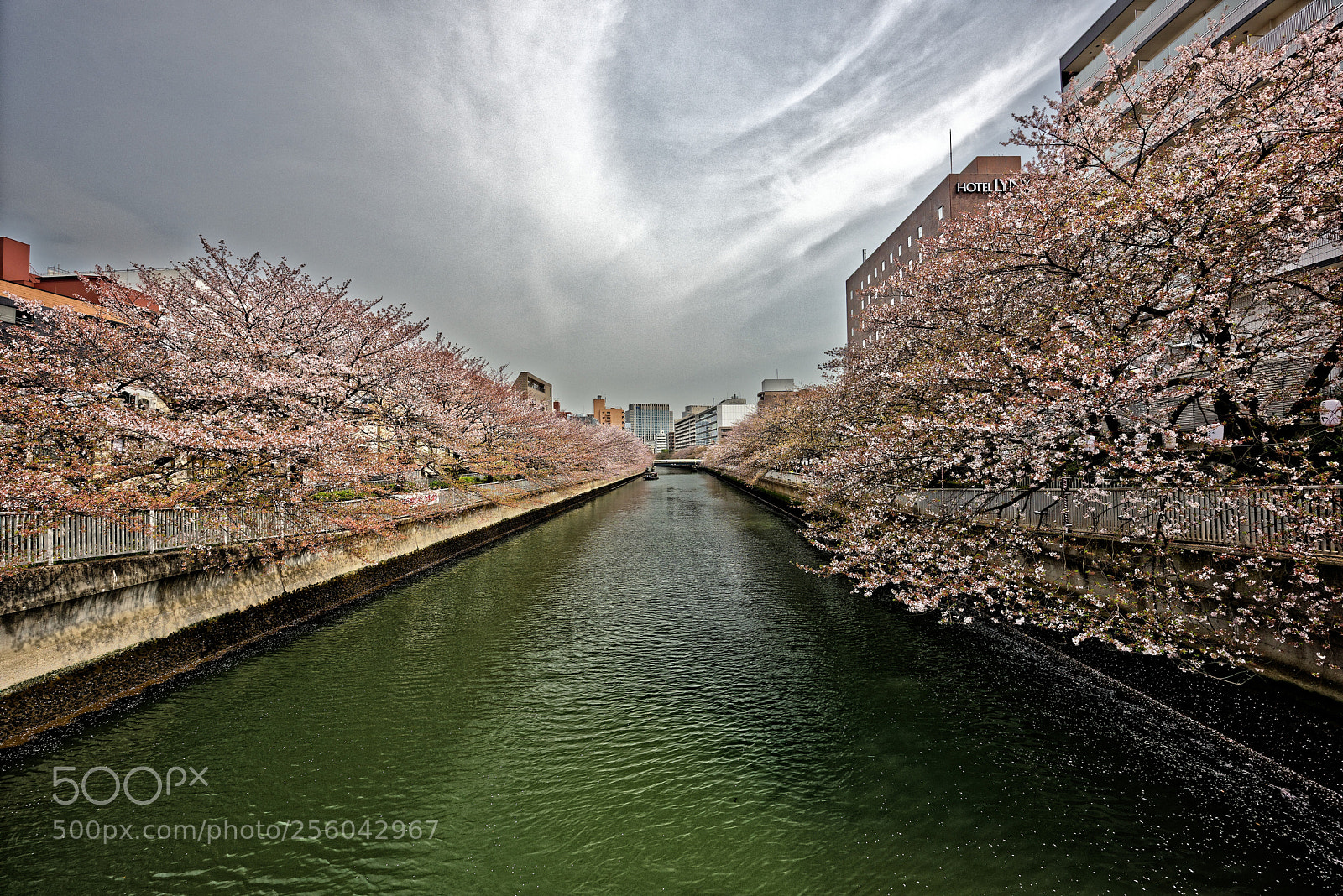 Nikon D810 sample photo. Before the rain photography