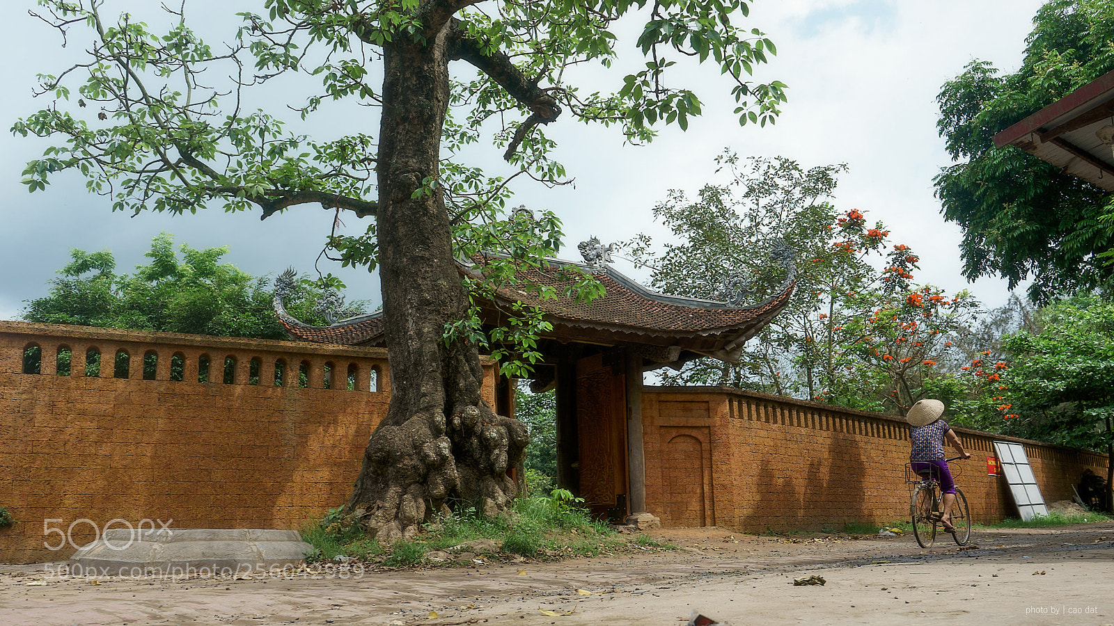 Sony a7 sample photo. Hung yen photography