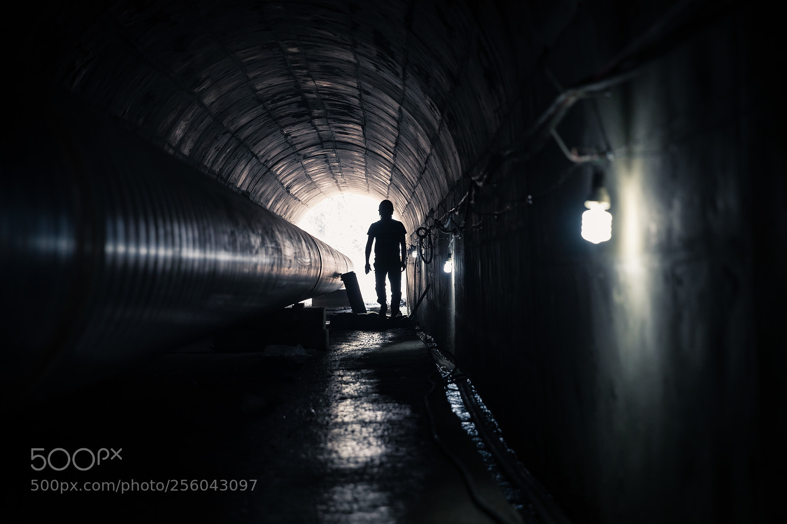 Canon EOS-1D X Mark II sample photo. A40i3485-1.jpg photography