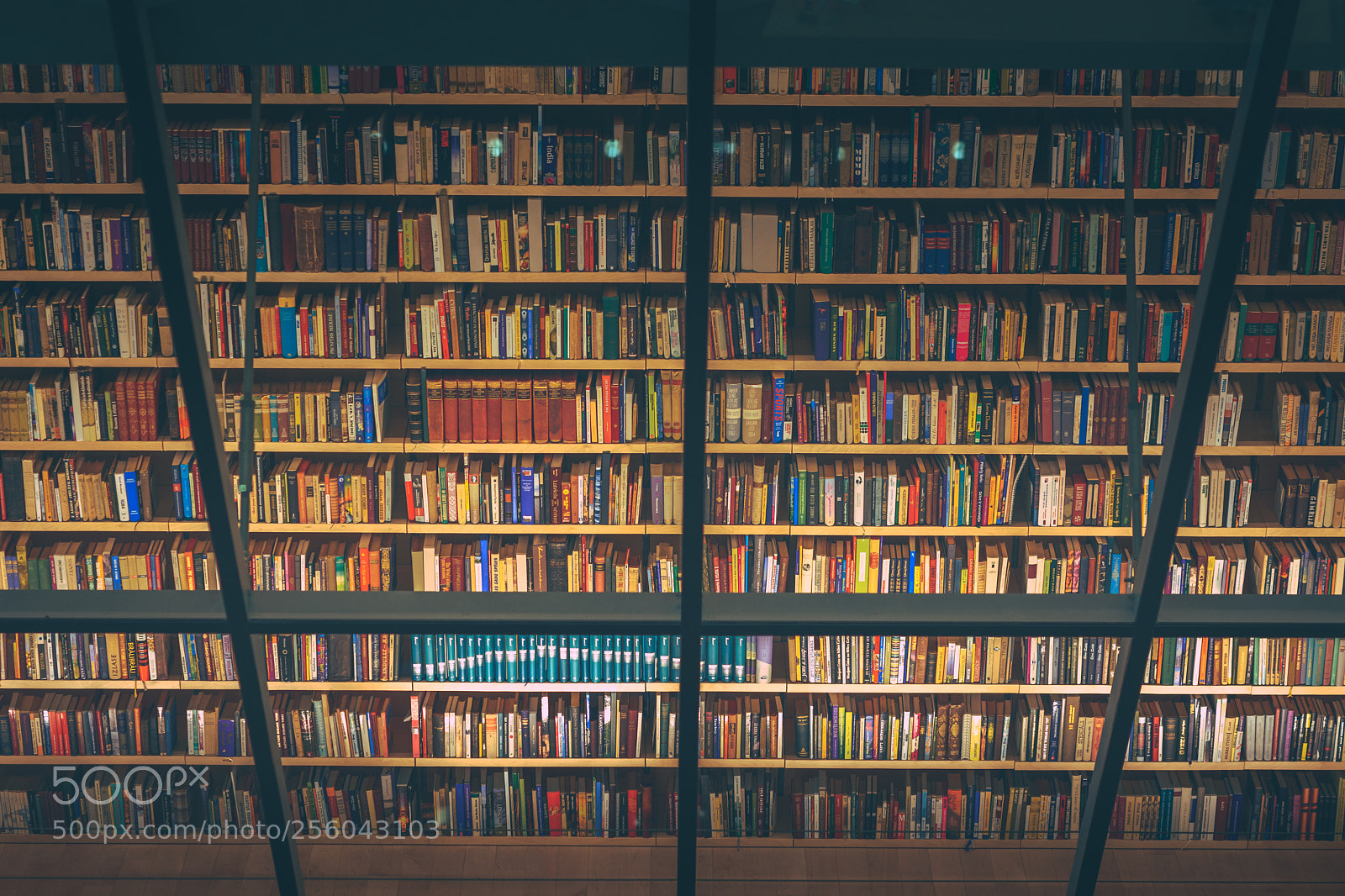 Nikon D5200 sample photo. Bookshelf behind the glass photography