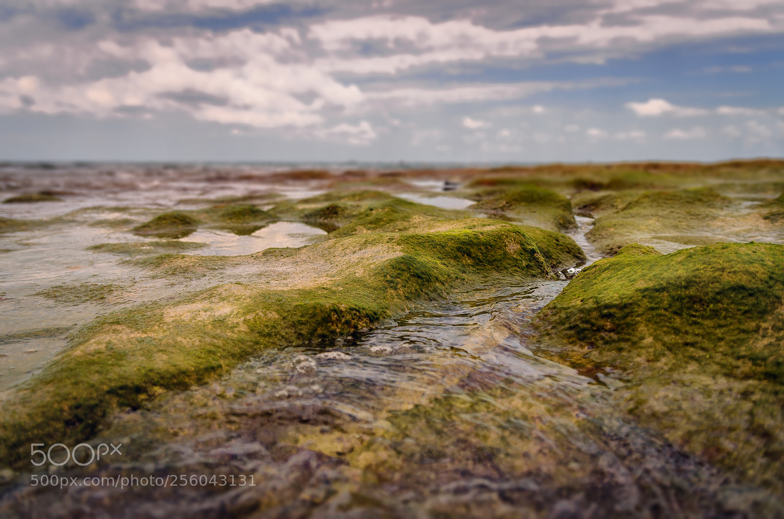 Nikon D7000 sample photo. Micro seascape photography