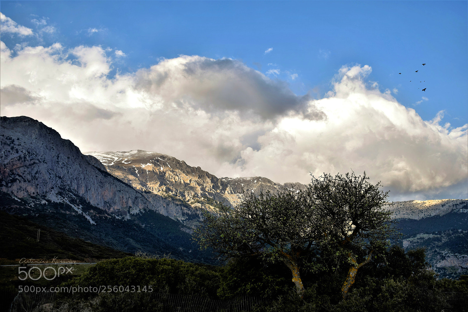 Nikon D5300 sample photo. Parnassus mountain photography