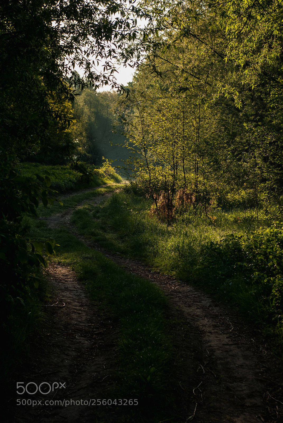 Pentax K10D sample photo. Road photography