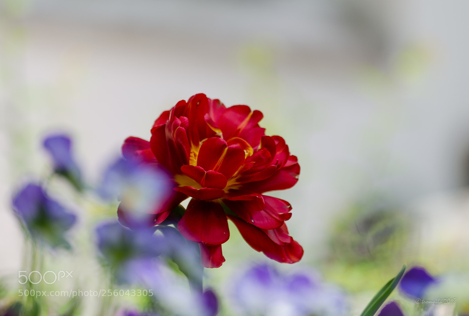 Nikon D5100 sample photo. Untitled photography