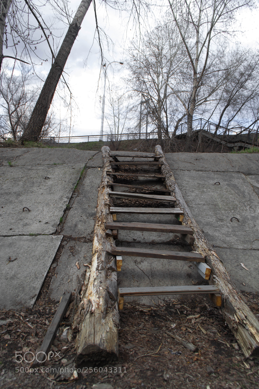Nikon D3100 sample photo. Ladder photography