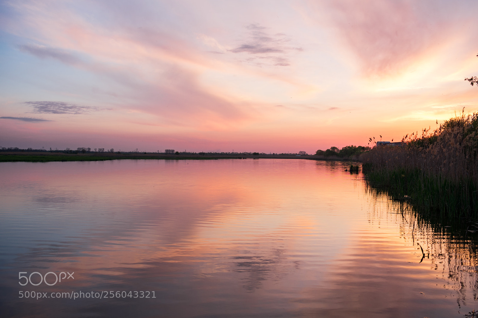 Nikon D3400 sample photo. Spring sunset photography
