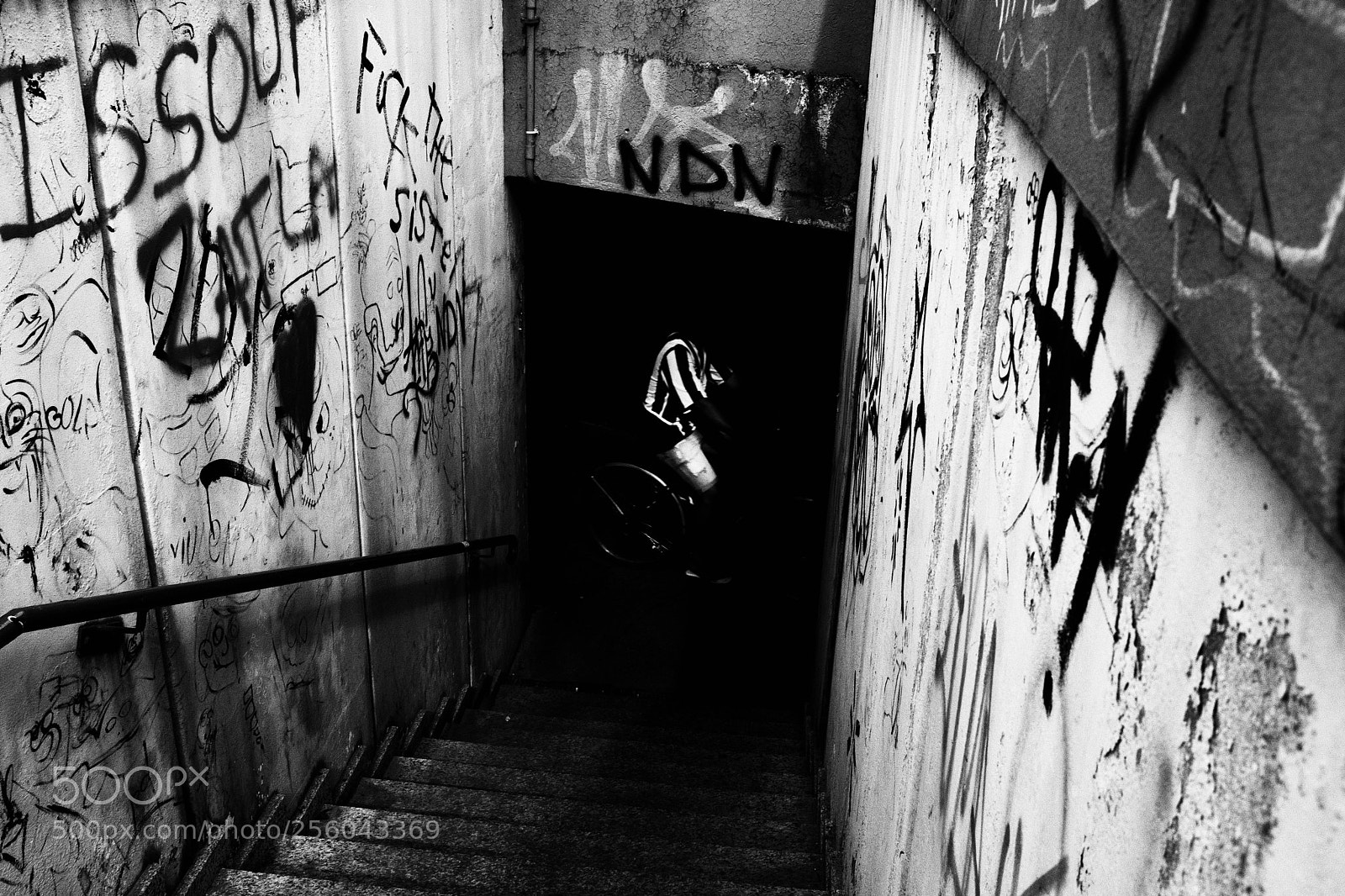 Fujifilm X100F sample photo. Untitled photography