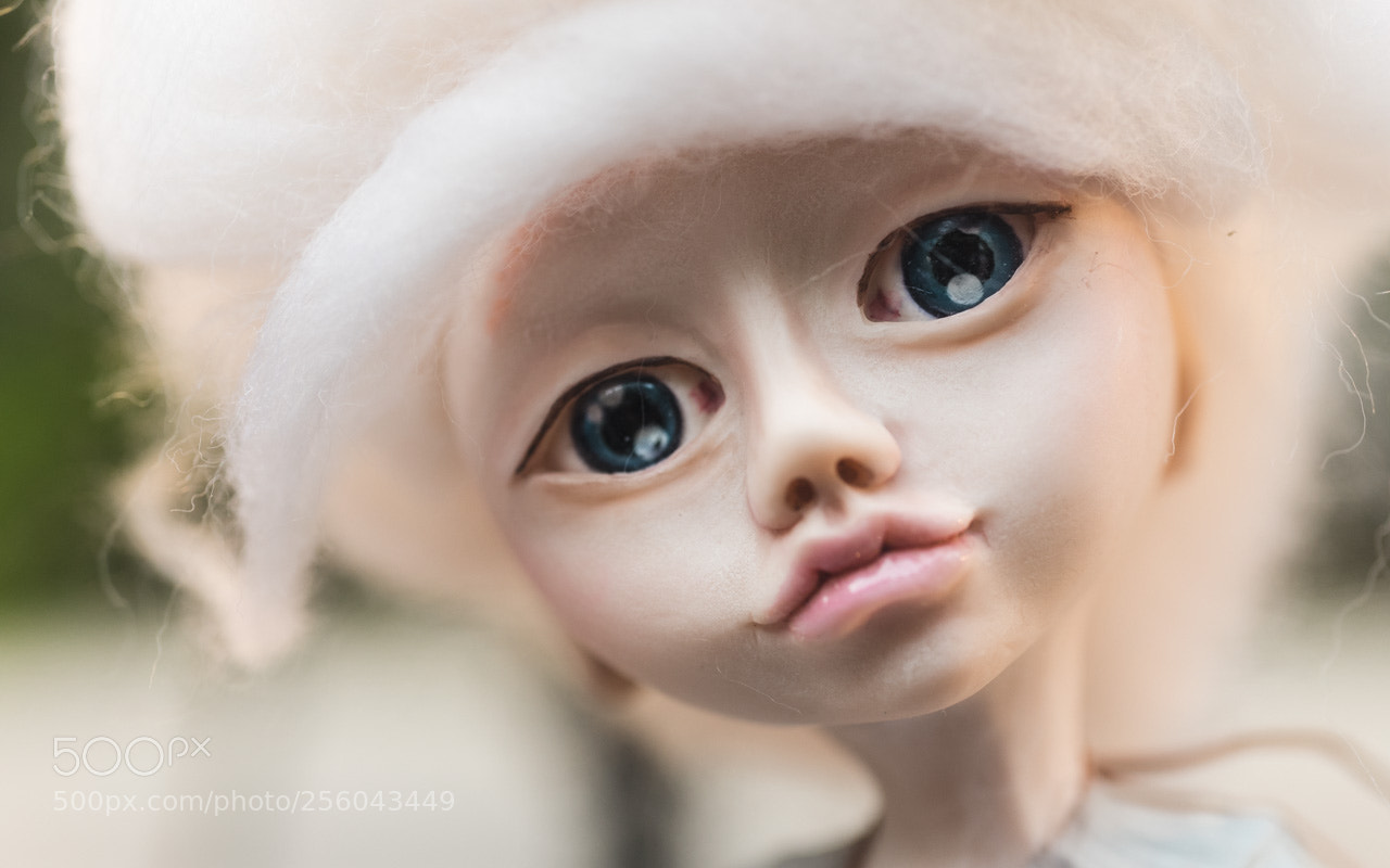 Nikon D750 sample photo. Fairies of lana lobiladze photography