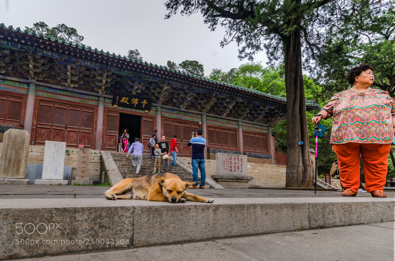 Pentax K-1 sample photo. Meditation photography