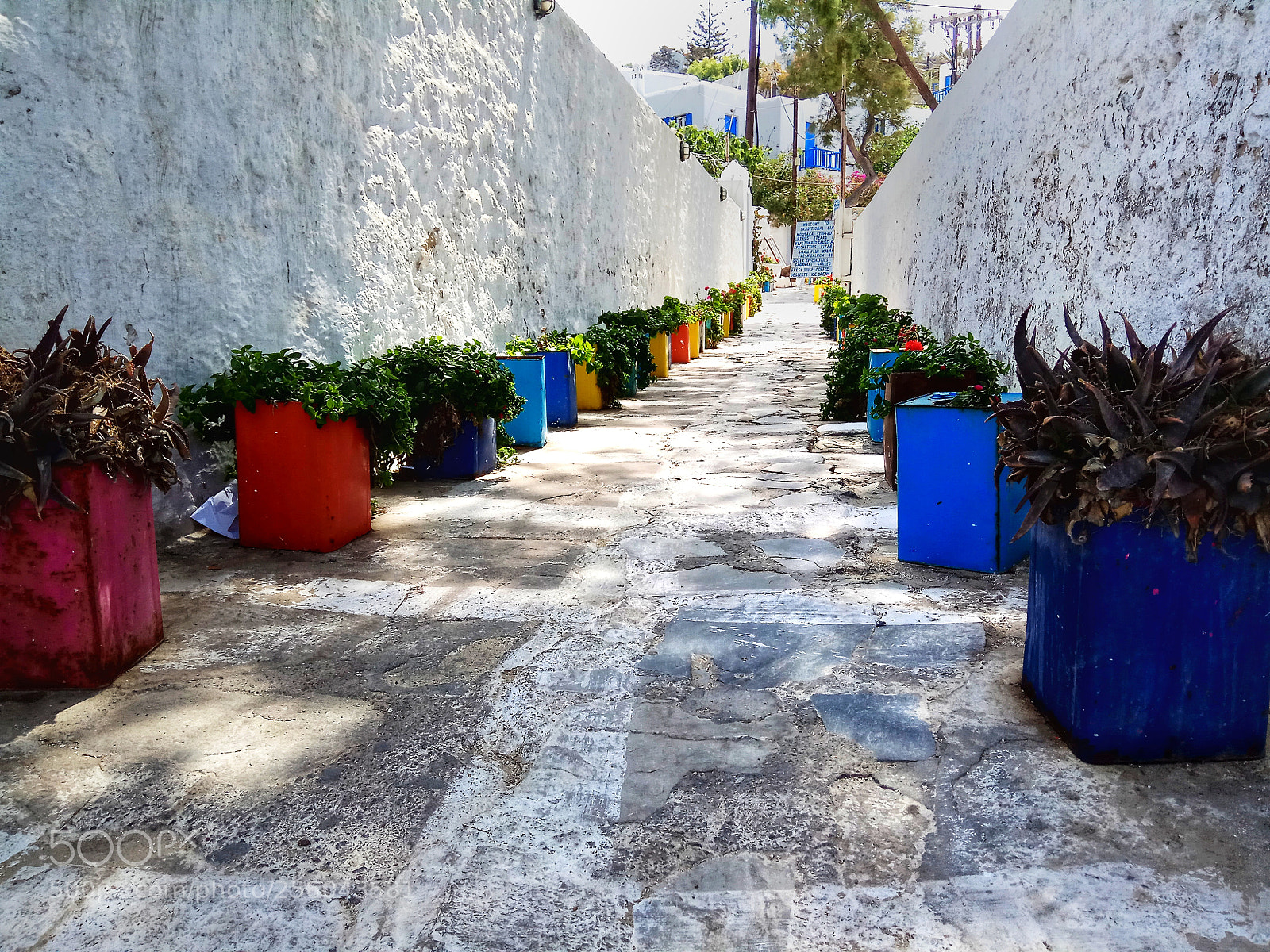 Xiaomi Redmi Note 4 sample photo. The path photography
