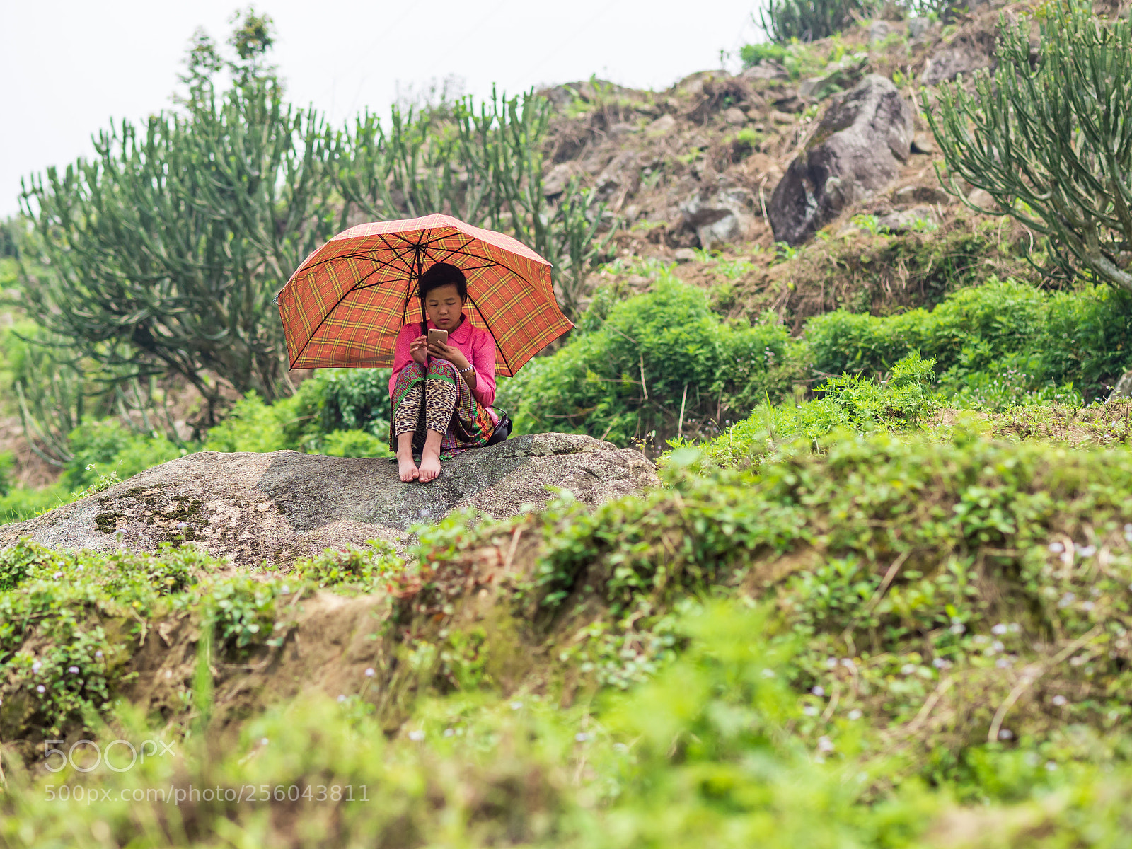 Olympus OM-D E-M10 II sample photo. Sapa, vietnam - april photography
