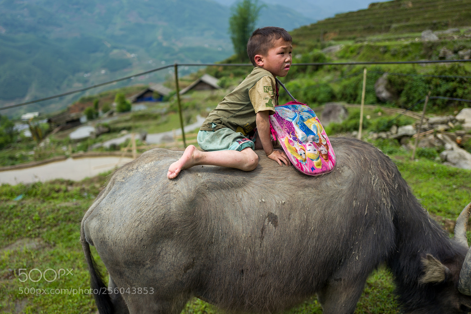 Leica Q (Typ 116) sample photo. Sapa, vietnam - april photography