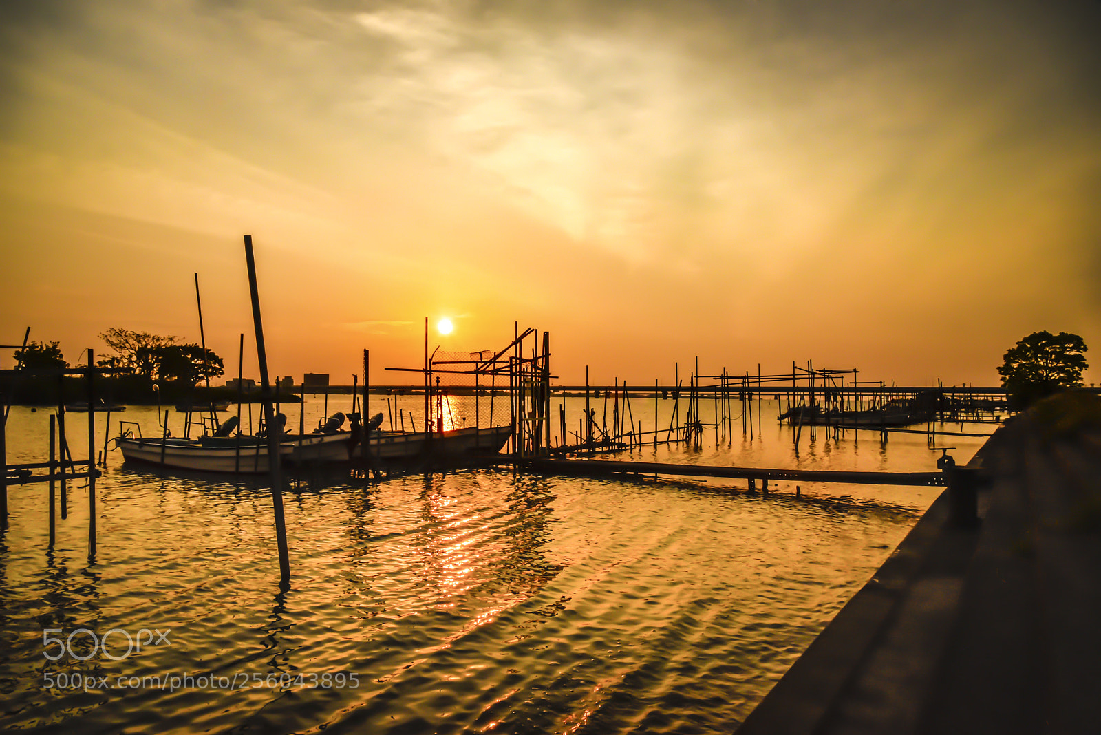 Nikon D750 sample photo. On the river morning photography