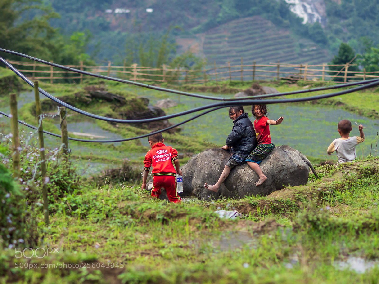 Olympus OM-D E-M10 II sample photo. Sapa, vietnam - april photography