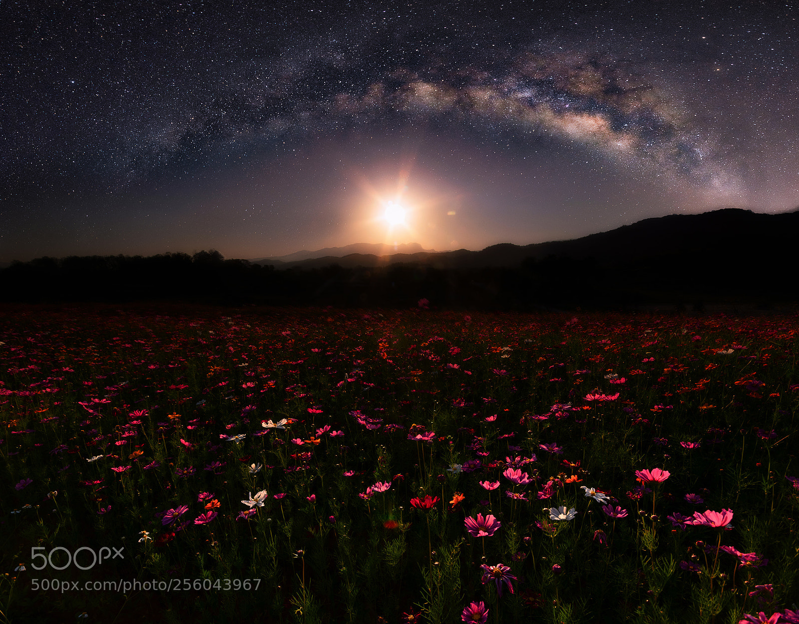 Nikon D5300 sample photo. The milky way at photography