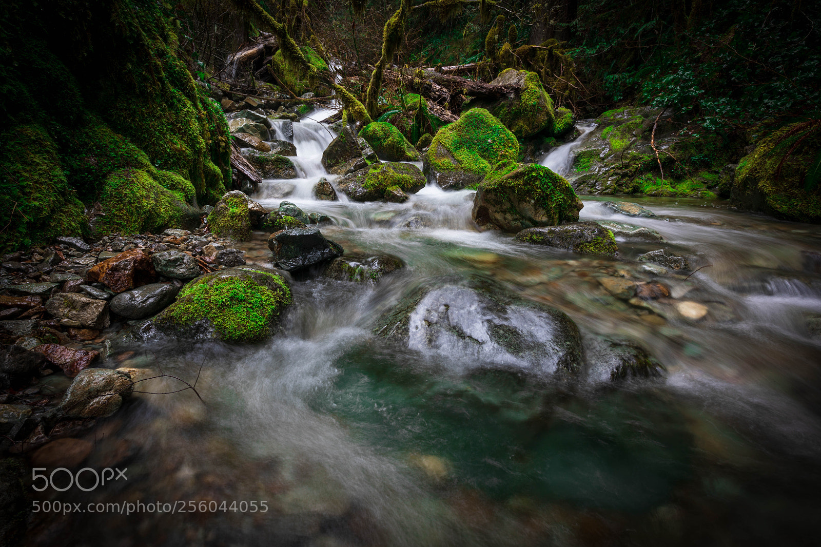 Canon EOS 5D Mark IV sample photo. Blue pool in the photography