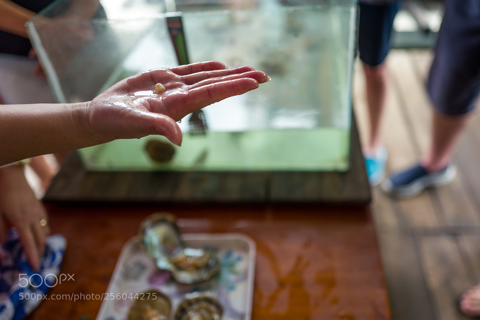 Leica Q (Typ 116) sample photo. Halong bay, vietnam photography