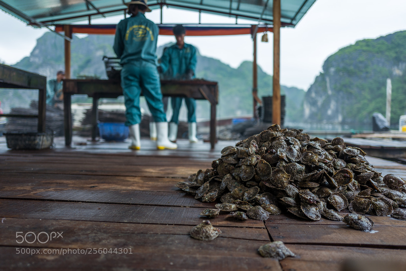 Leica Q (Typ 116) sample photo. Halong bay, vietnam photography