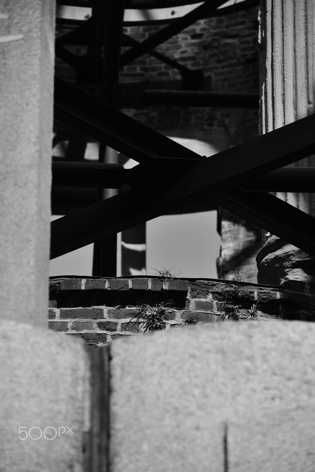 Nikon D7200 sample photo. Detritus photography