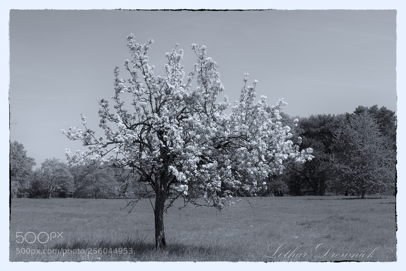 Canon EOS 6D Mark II sample photo. Frühling photography