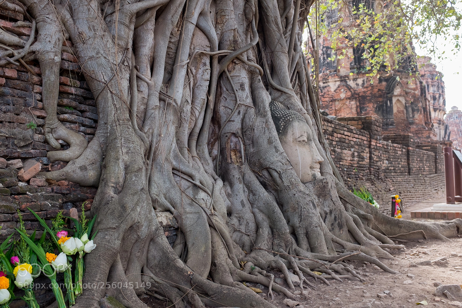 Fujifilm X100T sample photo. Ayutthaya photography