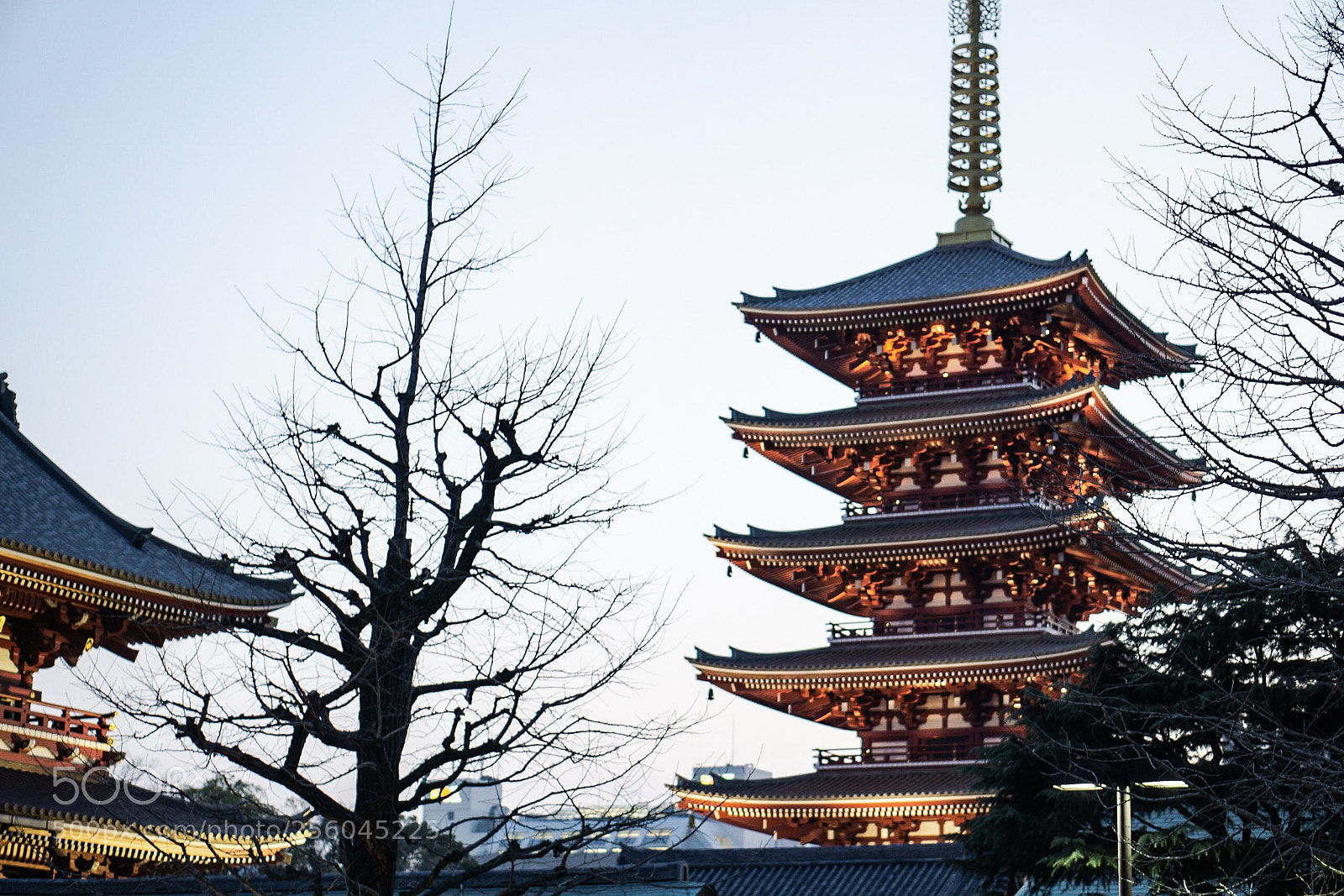 Sony a6000 sample photo. Focus→japan  photography
