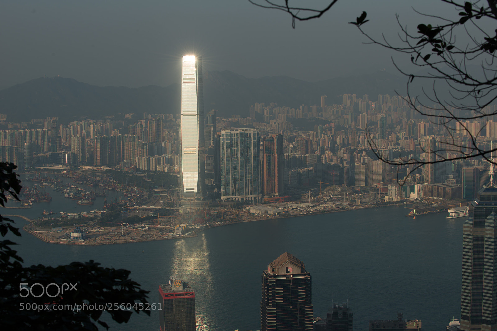 Nikon D800 sample photo. Hongkong_ifc_shiny photography