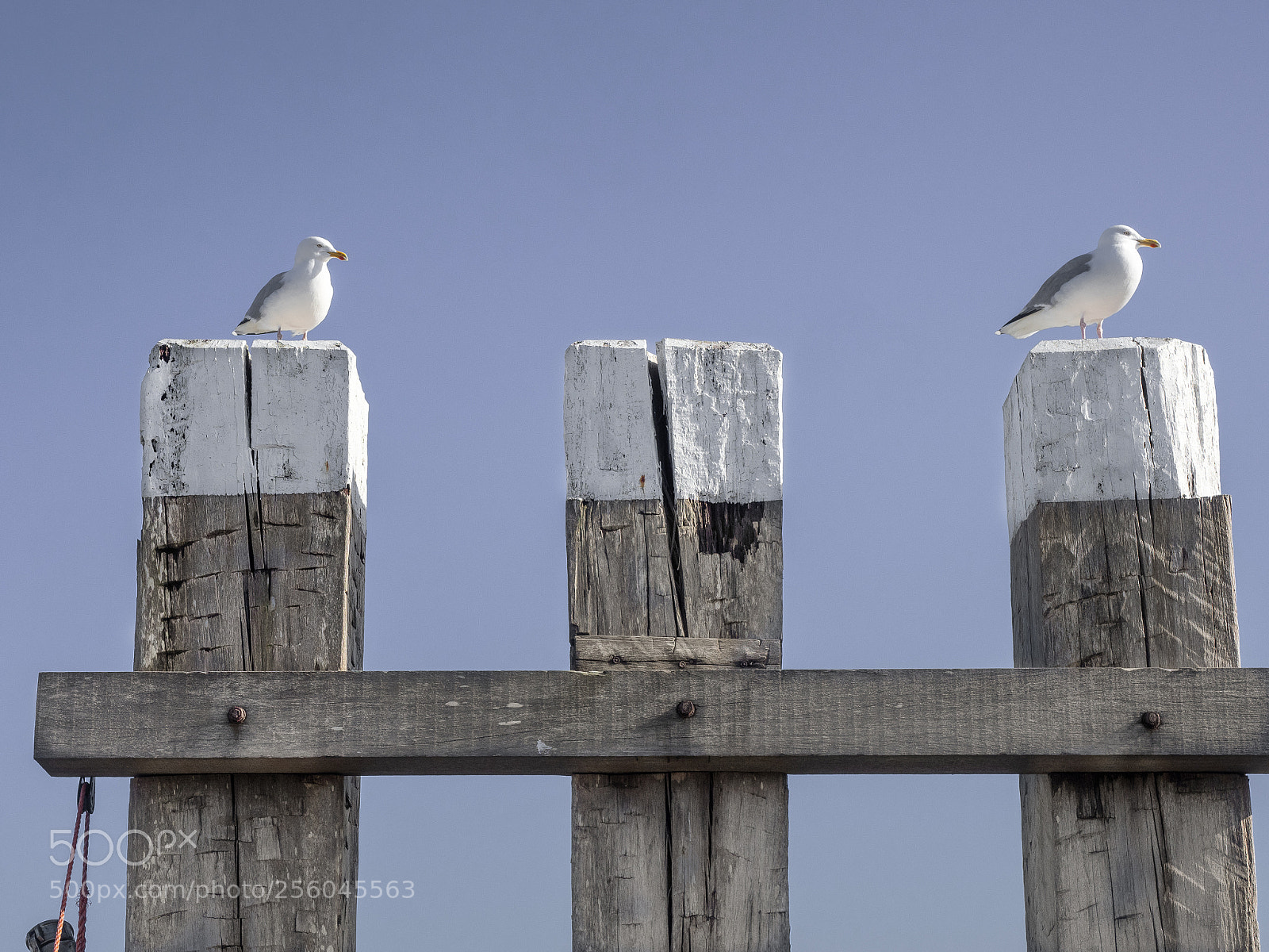 Olympus OM-D E-M1 Mark II sample photo. Waiting for the ferry photography
