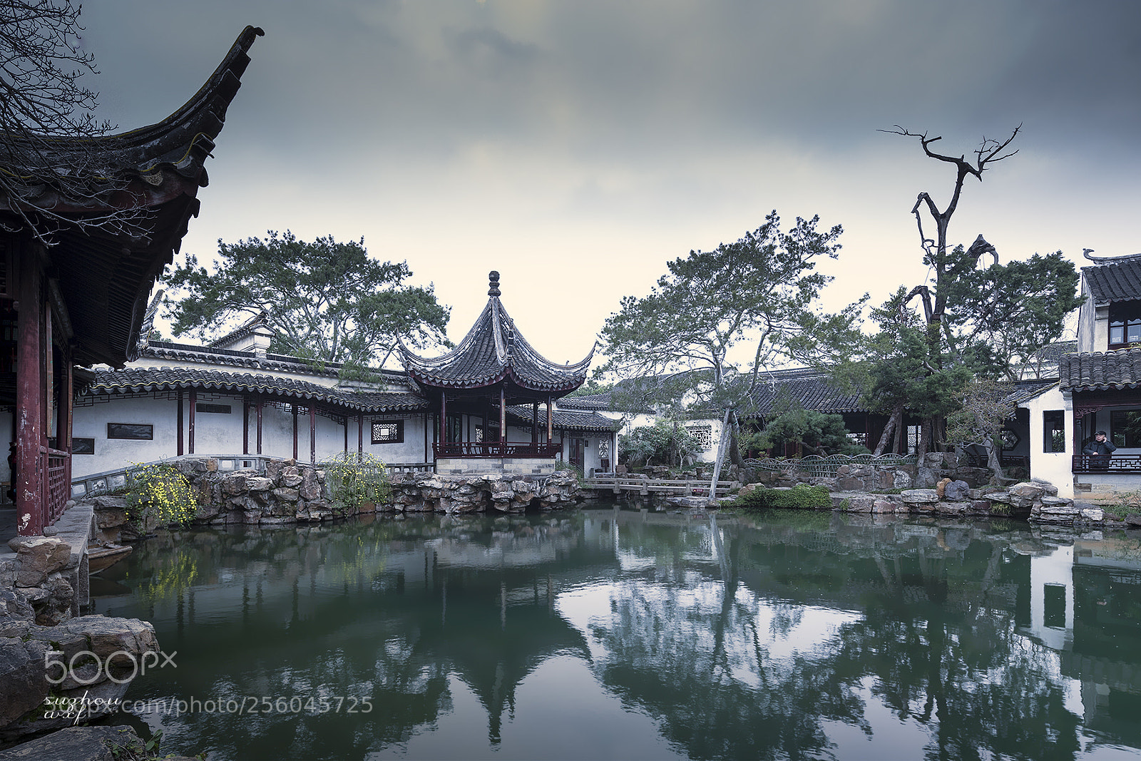 Canon EOS-1D X Mark II sample photo. Untitled photography