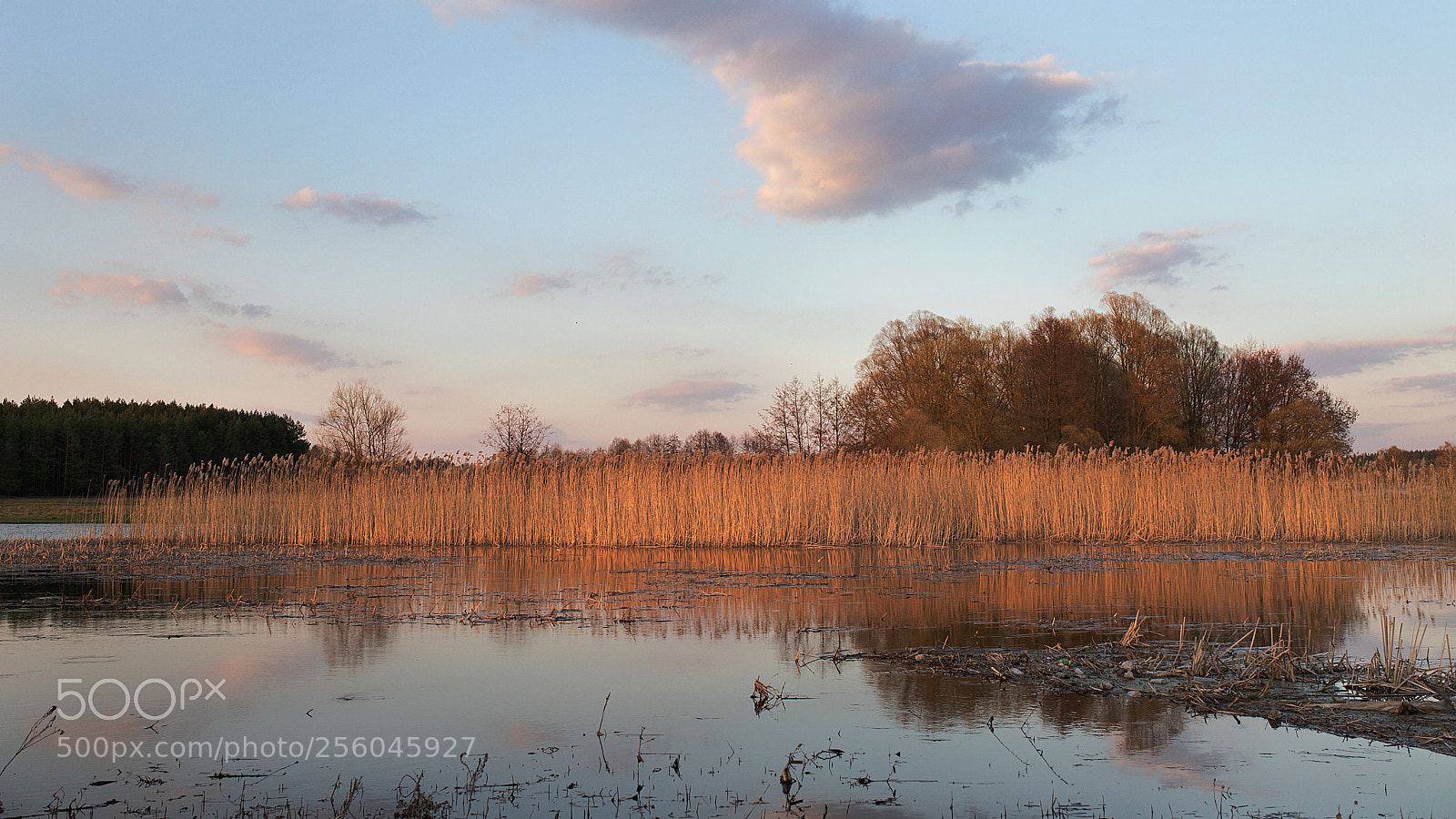 Canon EOS 6D Mark II sample photo. Sunset over the river photography